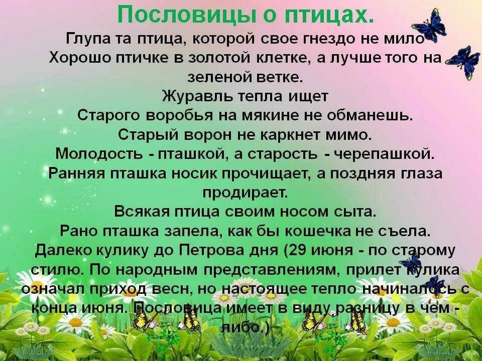 Пословица воля птичке дороже. Пословицы о птицах. Поговорки про птиц. Пословицы и поговорки о птицах. Пословицы и поговорки о птицах для детей.