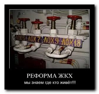 Каждый обитатель квартиры знал