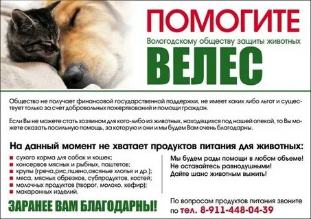 Общество велес
