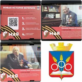 День ветерана в 2024 году
