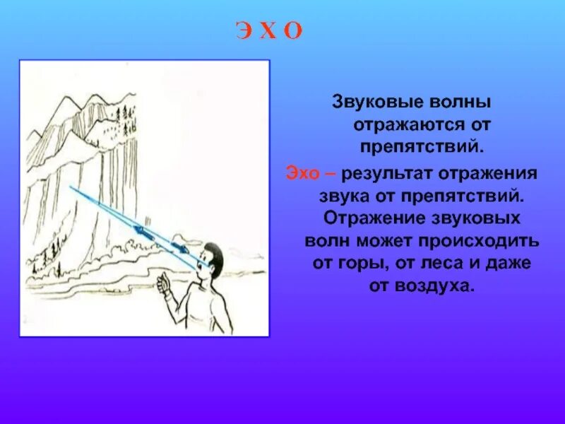 Эхо ясен. Отражение звука Эхо. Отражение звуковых волн. Звуковые волны Эхо. Отражение звука физика.