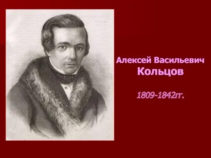 Жизнь алексея васильевича