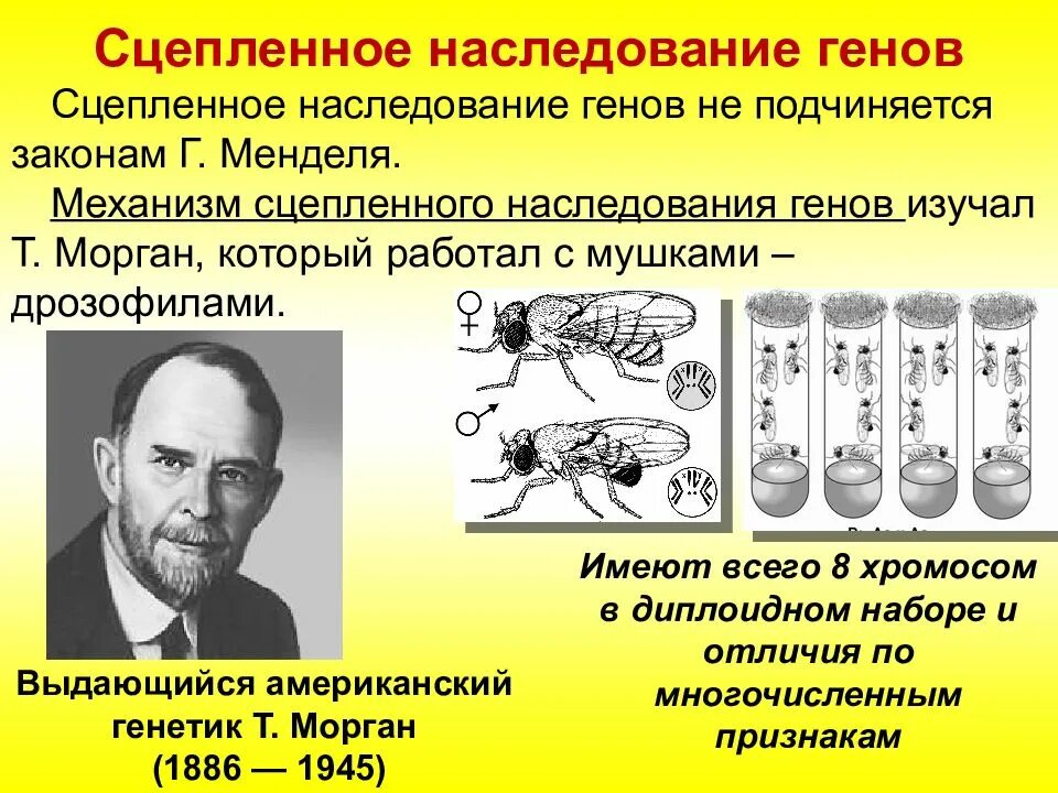 Помоги ученым приведи пример наименьшего