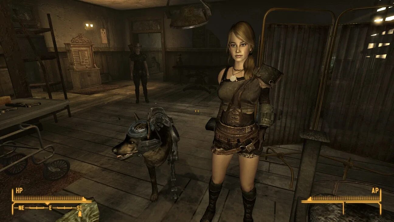 Fallout new vegas type. Fallout nv type 6. sheva компаньон для fallout 3. fallout new vegas replacer type 6. fallout nv sniper armor.