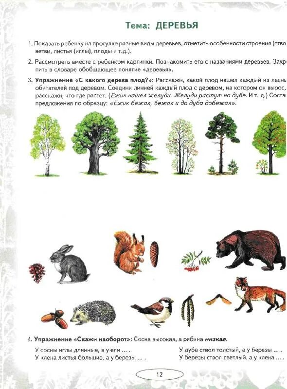 Задания по теме деревья для дошкольников. Логопедические домашние задания для детей 5-7 лет с онр деревья. Декстческая темп деревья. Логопедические задания на тему деревья. Задания по теме деревья для дошкольников.