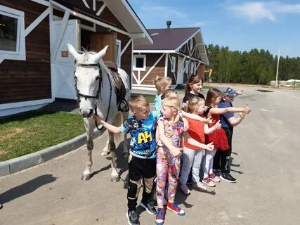 Horseka