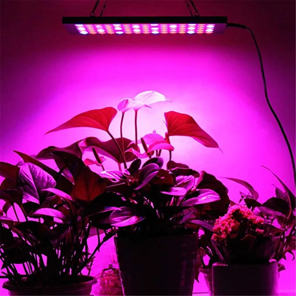 Красный свет для растений для чего. Фитолампа led grow Light. Фитолампа grow Light 40 Вт. Светодиодная лампа для растений ALIEXPRESS led grow Light. Фитолампа user manual led grow Light.