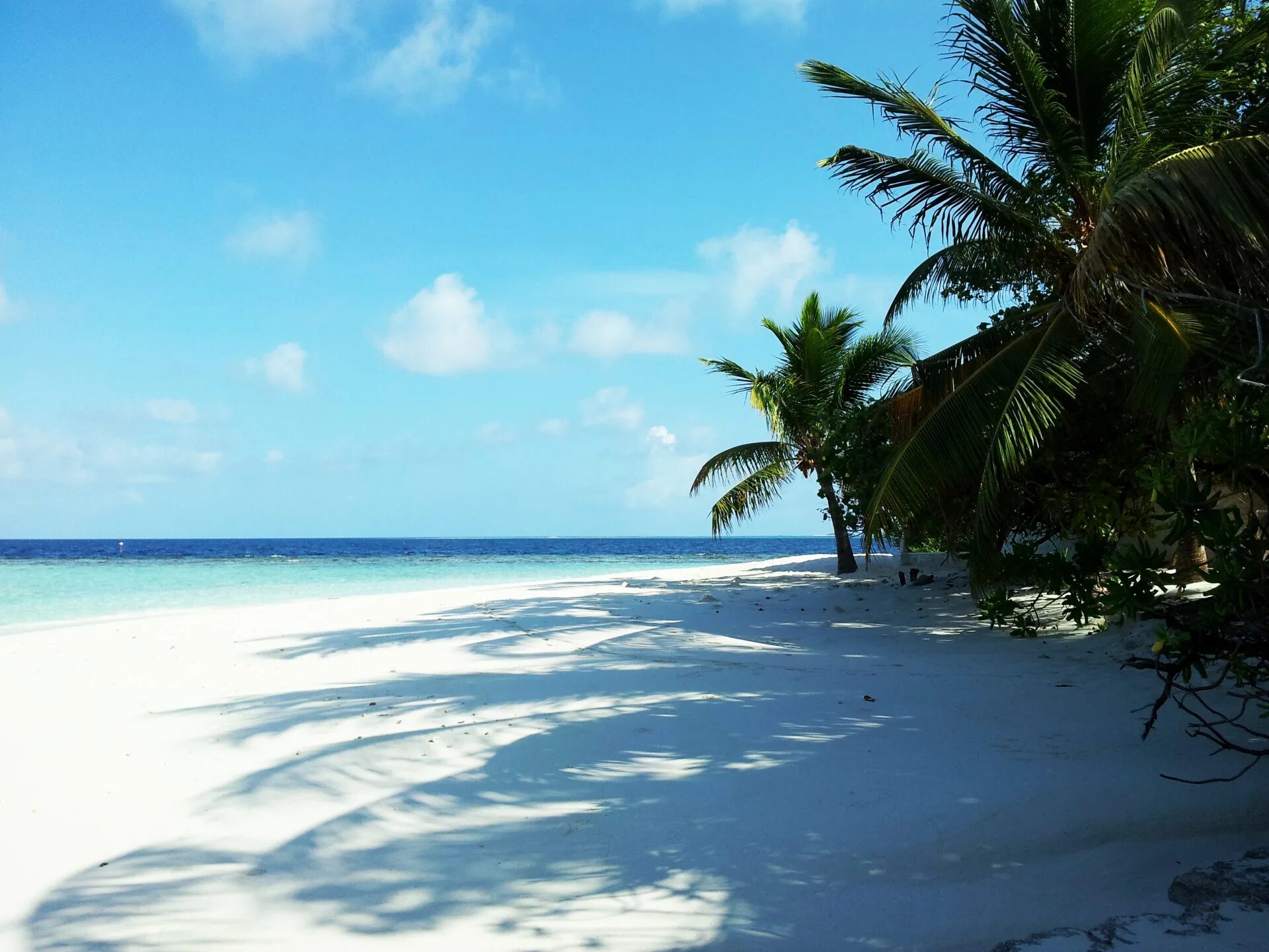 Island trip. Карибское море Доминикана. Пляж Вайт Сенд. Тропический пляж. Райский пляж.