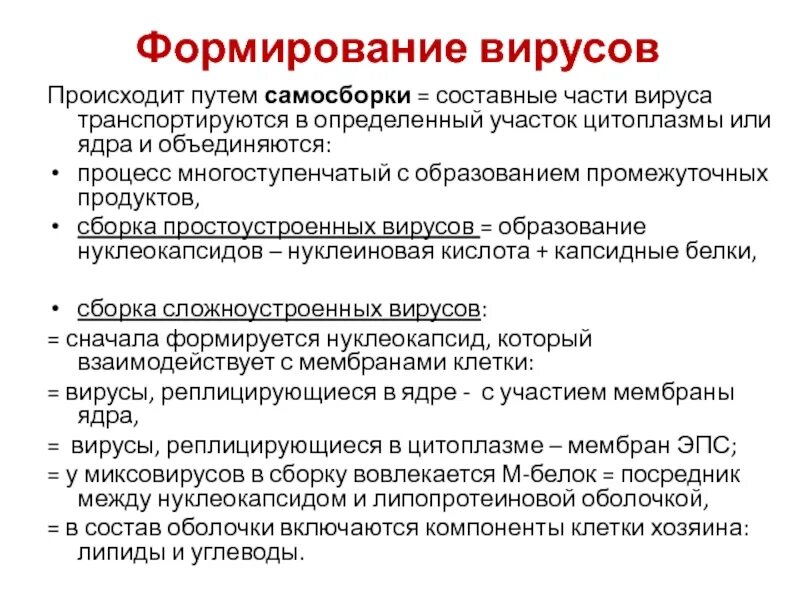 Основные функции вируса. Формирование вирусов. самосборка вирусных частиц. функции липидов сложноустроенных вирусов. самосборка вирусов когда происходит.