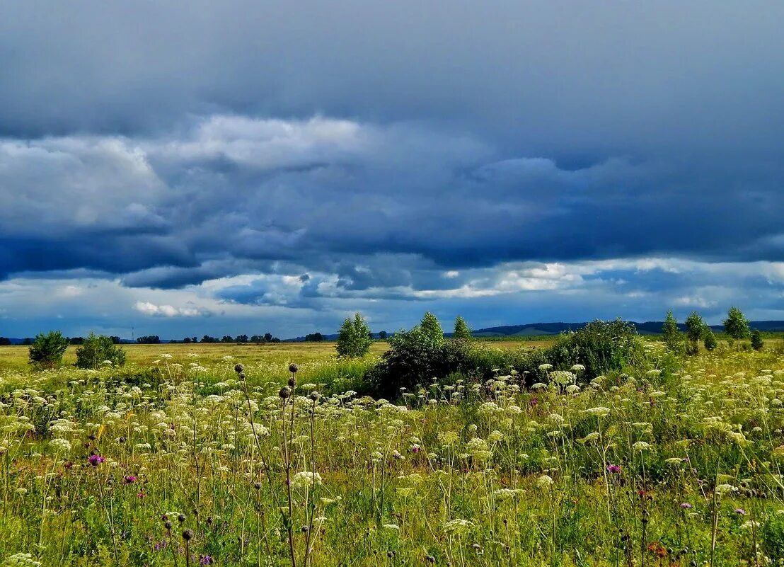 закат в степи. небо хмурится и сверкают в степи. над пашней небо хмурится. грозовое небо. дождливое небо.