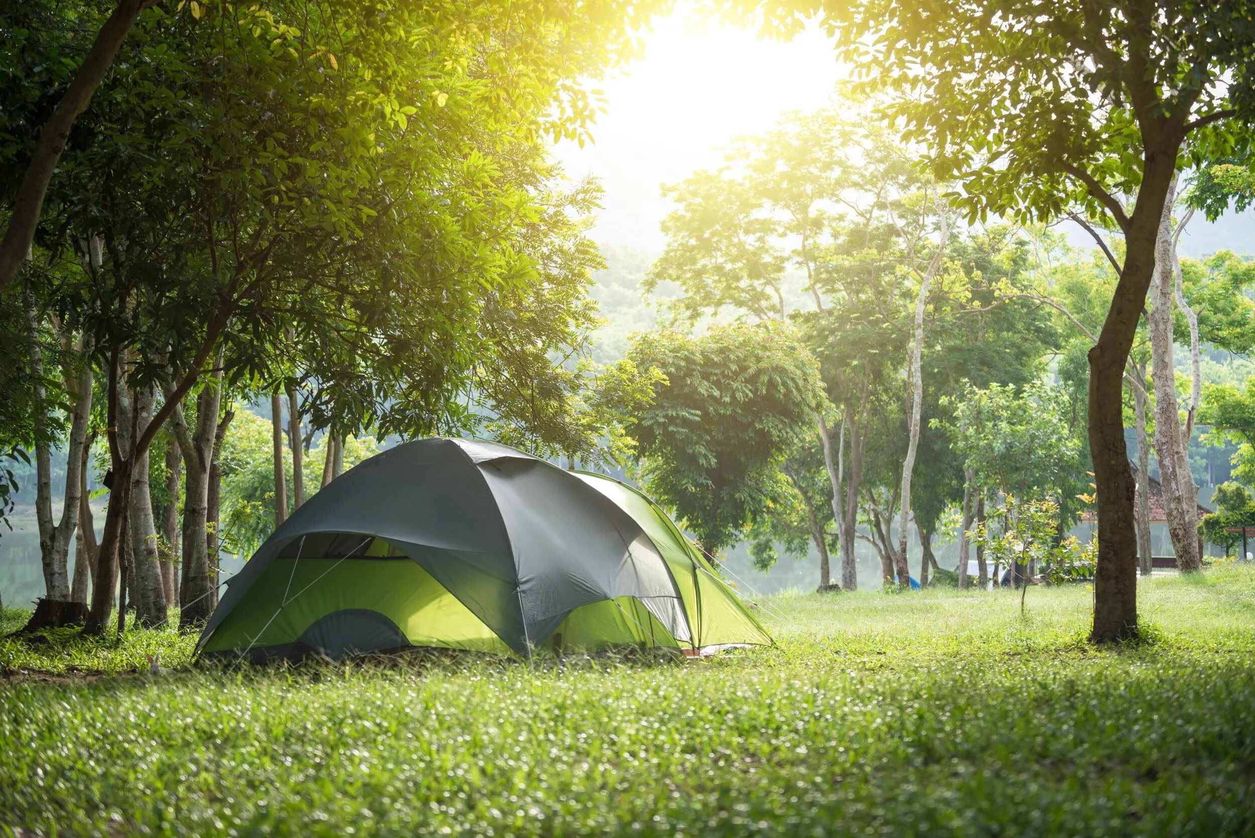 Camping space