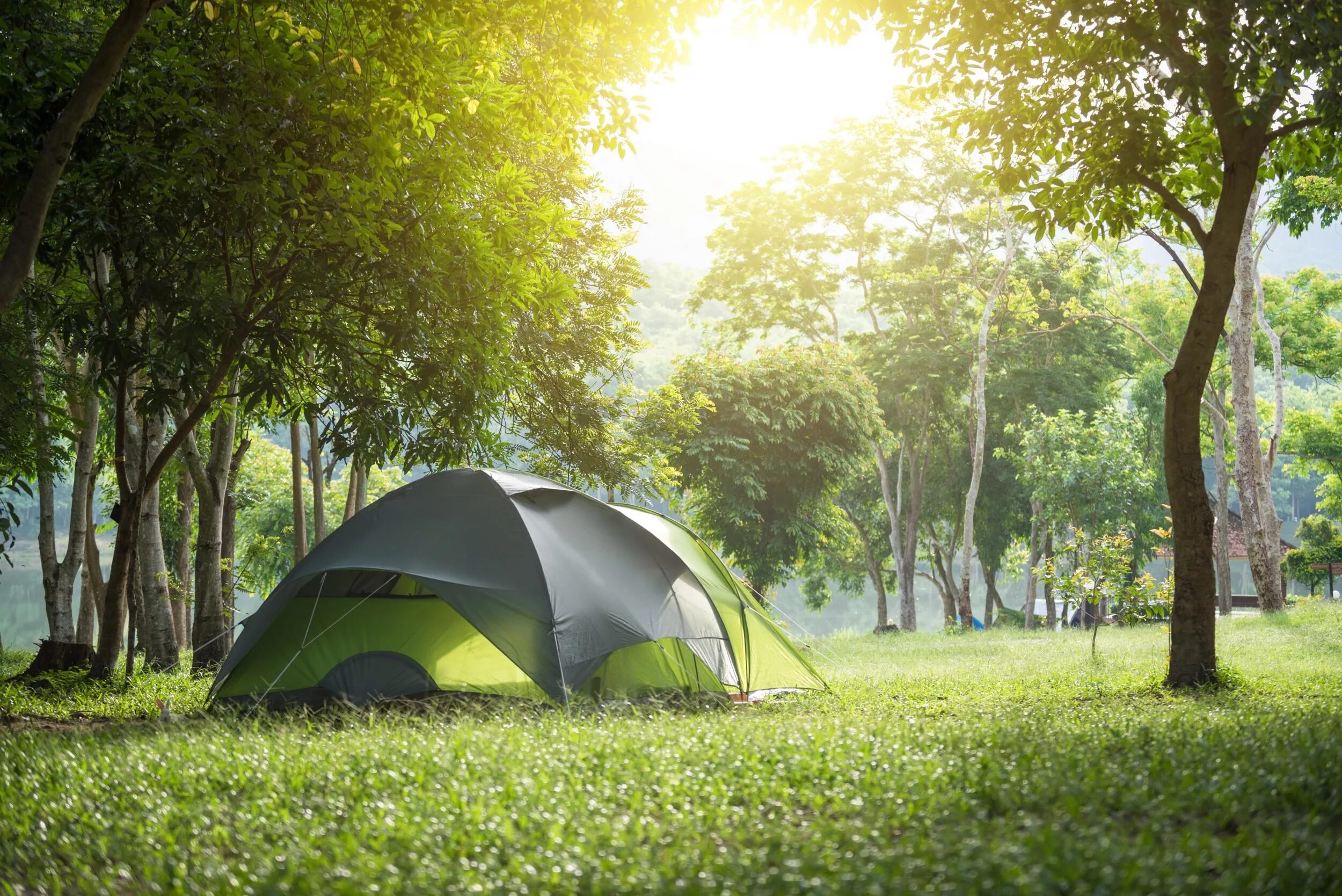 Палатка. Туристическая палатка на природе. Палатка летняя. Палатка в парке. Camping green