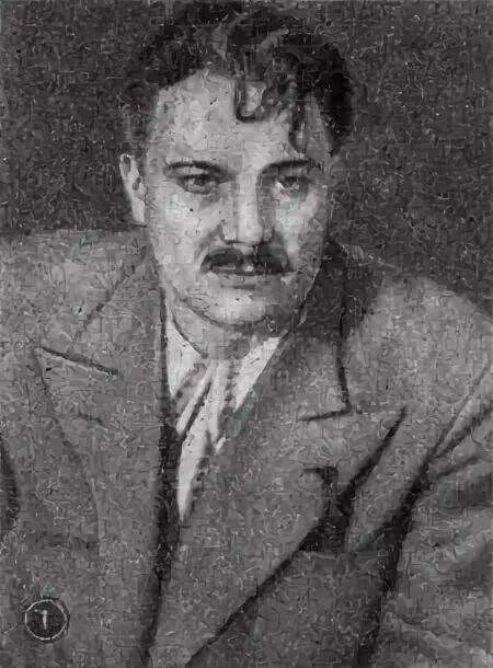 Си монов. Си монов. Си монов. Си монов. Фотография монгаса.