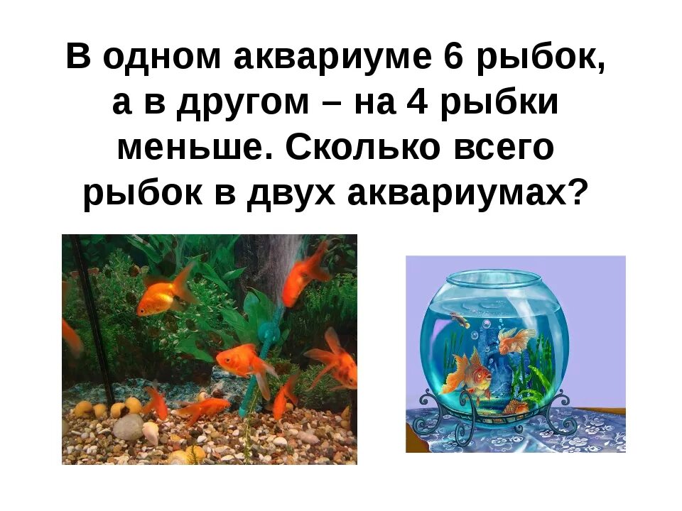 В двух аквариумах было 36 рыбок. Загадка про рыбок в аквариуме для детей. Загадка про аквариум для детей. Загадки на тему аквариумные рыбки. Аквариумные рыбки задания.