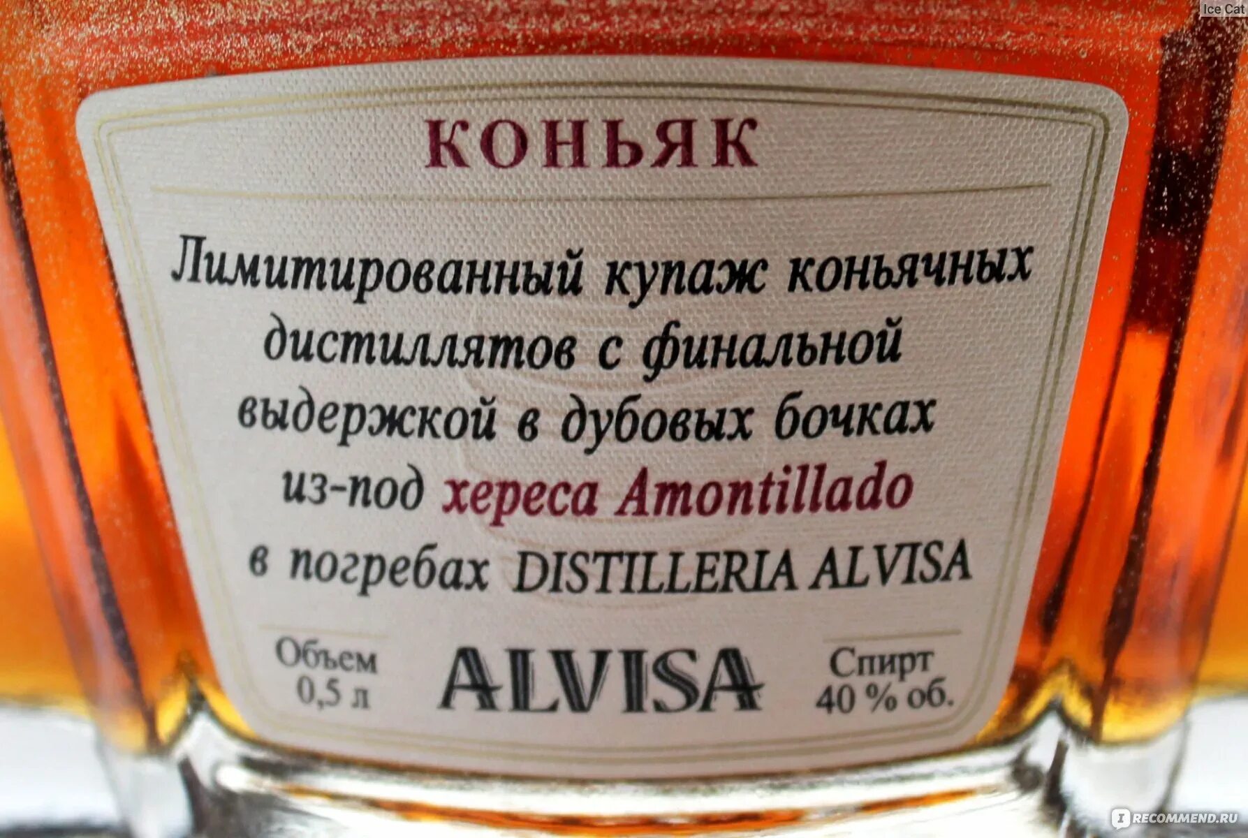 Коньяк старейшина Sherry Barrel. Про коньяк прикольные. Старейшина Шерри баррель. Коньяк картинки прикольные. День коньяка 1 апреля картинки прикольные