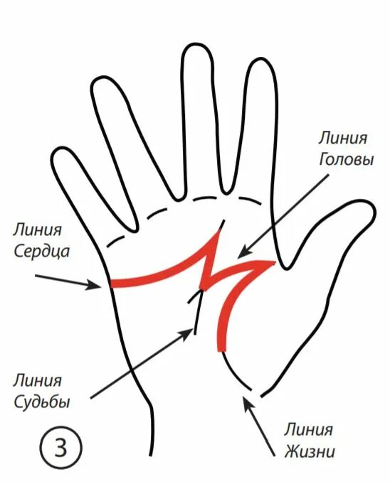 Линия головы. Линия сердца на руке. Линия головы и сердца на руке. Линия ума и сердца на руке.