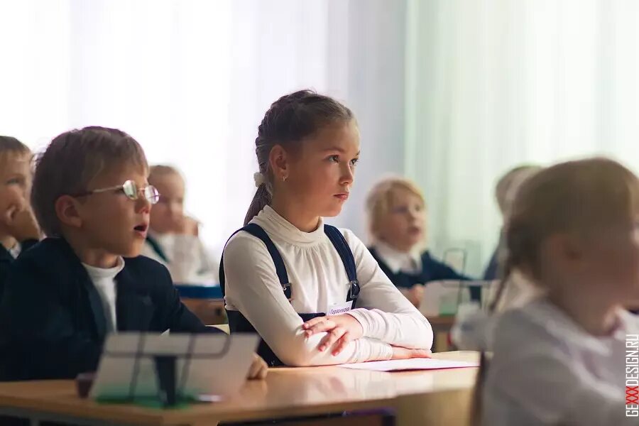 В школе 700 учащихся. Проценты в жизни школы. Сколько школьных. Сколько стоит собрать ребенка в школу. Дискета 1.