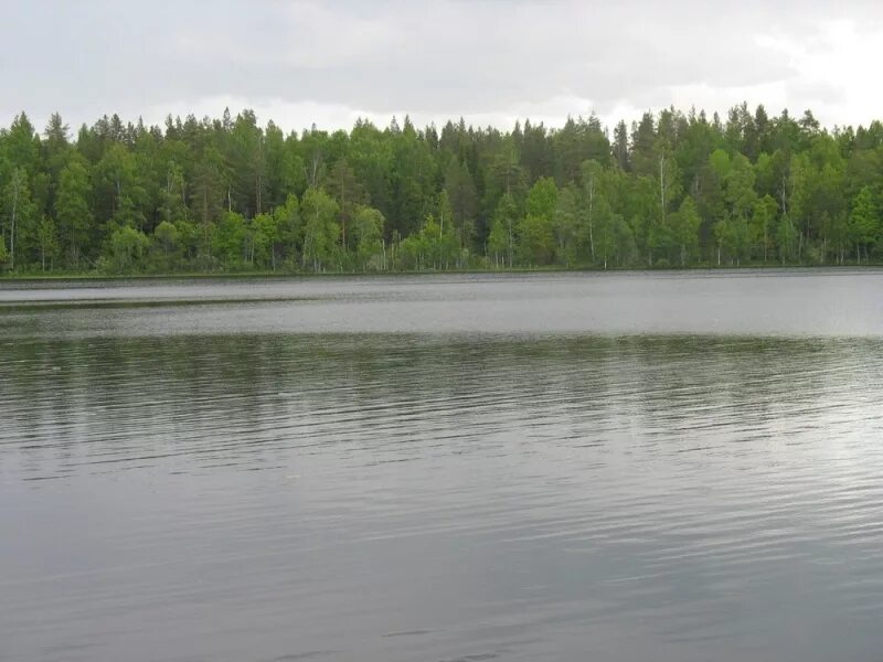 погода охват тверская область