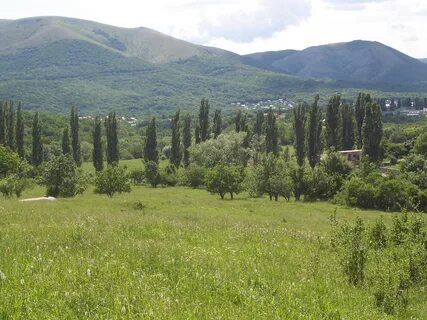 Региональный центр крыма
