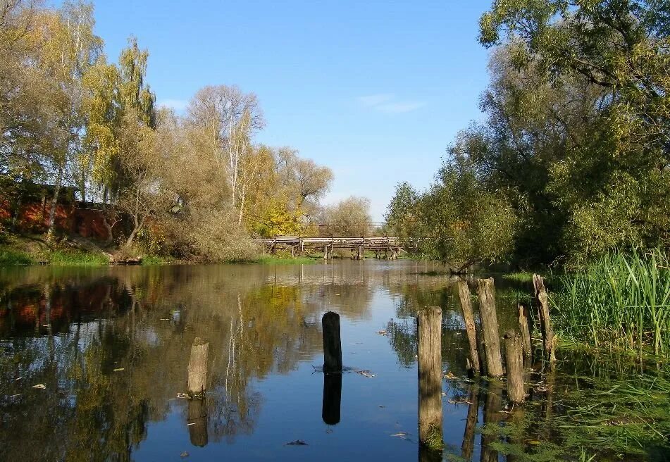 Уча х. Река обнора ярославская область любимский район. Река скалба ивантеевка. Уча х. Уча х.