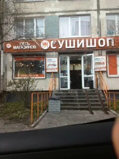 Бела куна 6