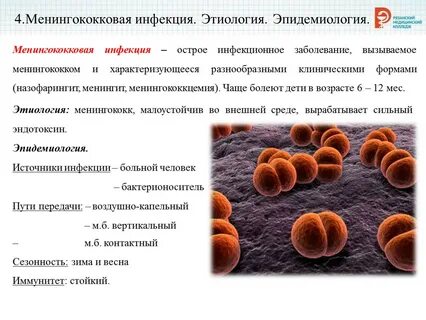 Эпидемиология менингококковой инфекции