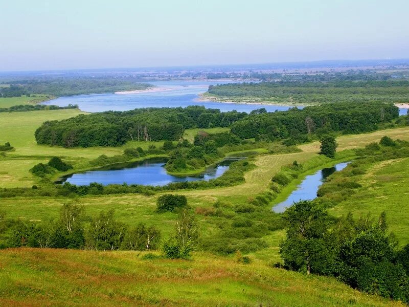 Формы земной поверхности Нижегородской области. Природа Богородского района Нижегородской. Богородский район Нижегородская область равнина. Земная поверхность Нижегородской области.