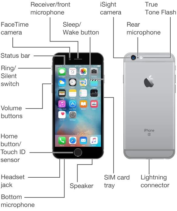 Сколько микрофонов iphone