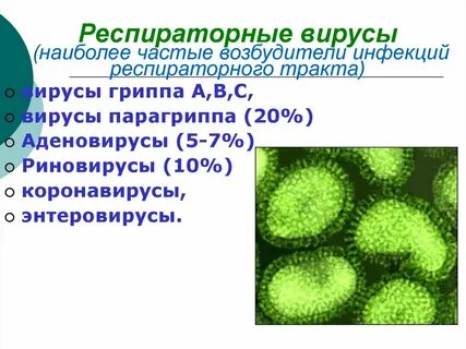 Респираторный вирус симптомы