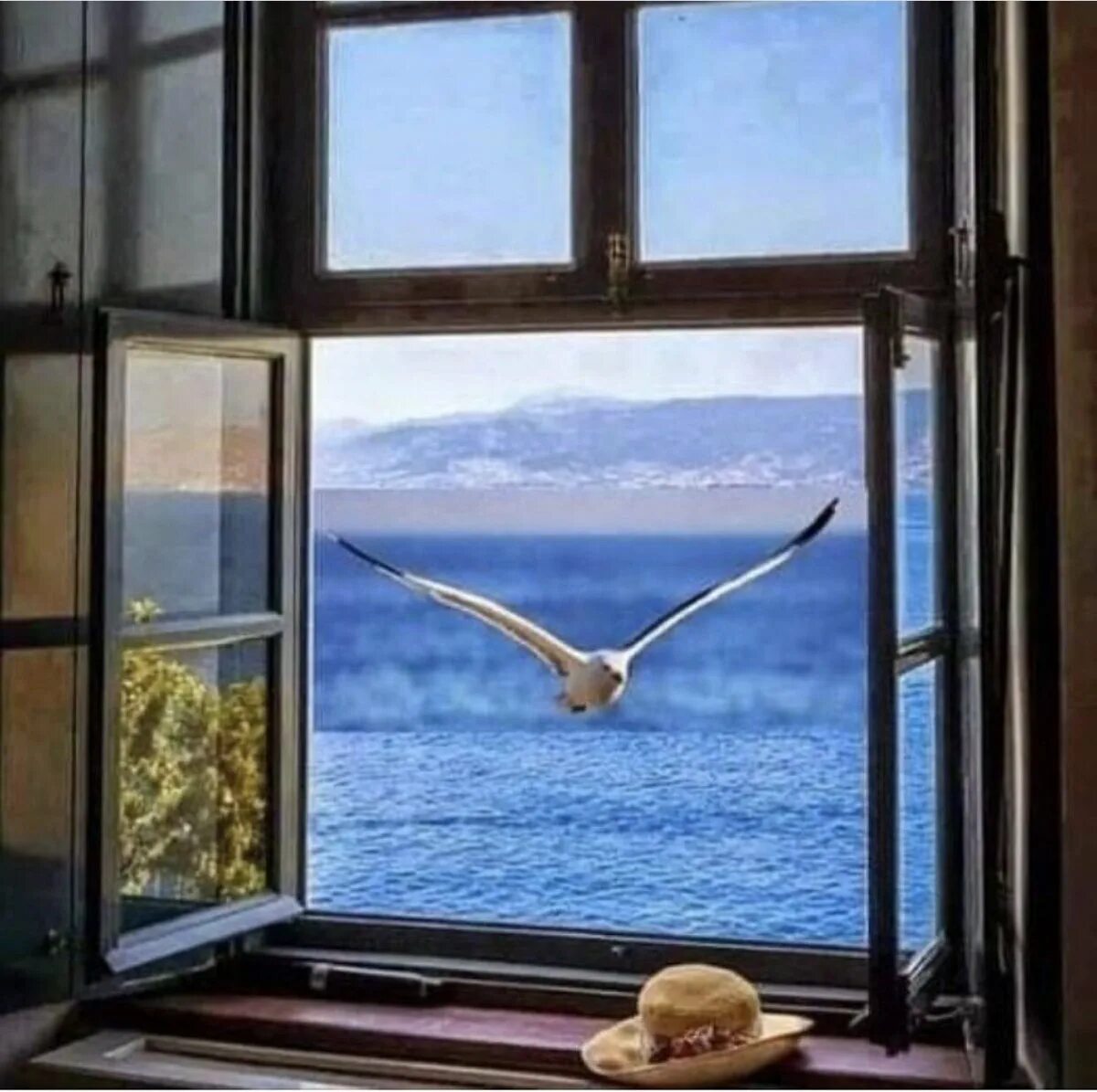 У окна. Окно с красивым видом. Вид из окна на море. Окно с видом на море.
