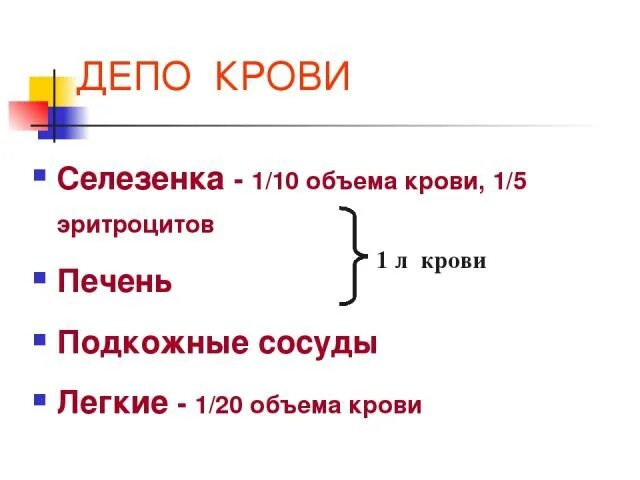 Депо крови в организме. Депо крови. Депо крови у человека. Органы депо крови.