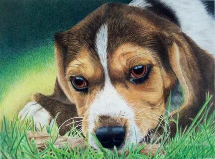 Dogday art