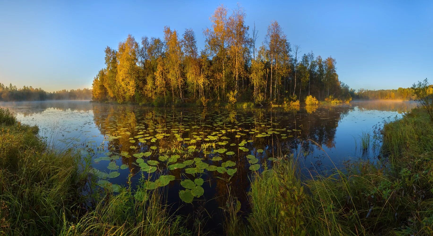 Вепсский лес фото заповедника На краю тайги / Осенний туман на рассвете Во время фототура "Магия Ленинградской