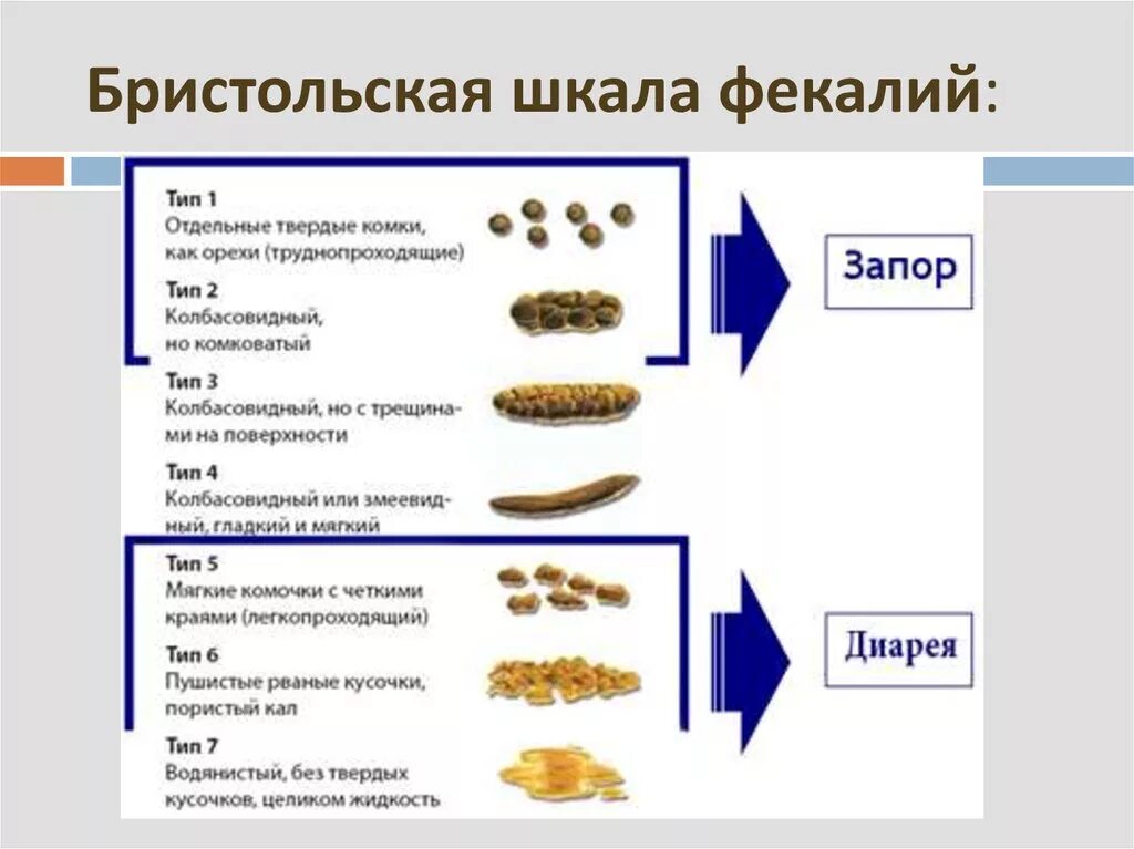 Почему может быть запор. Бристольская шкала Тип 1. Бристольская шкала консистенции стула.