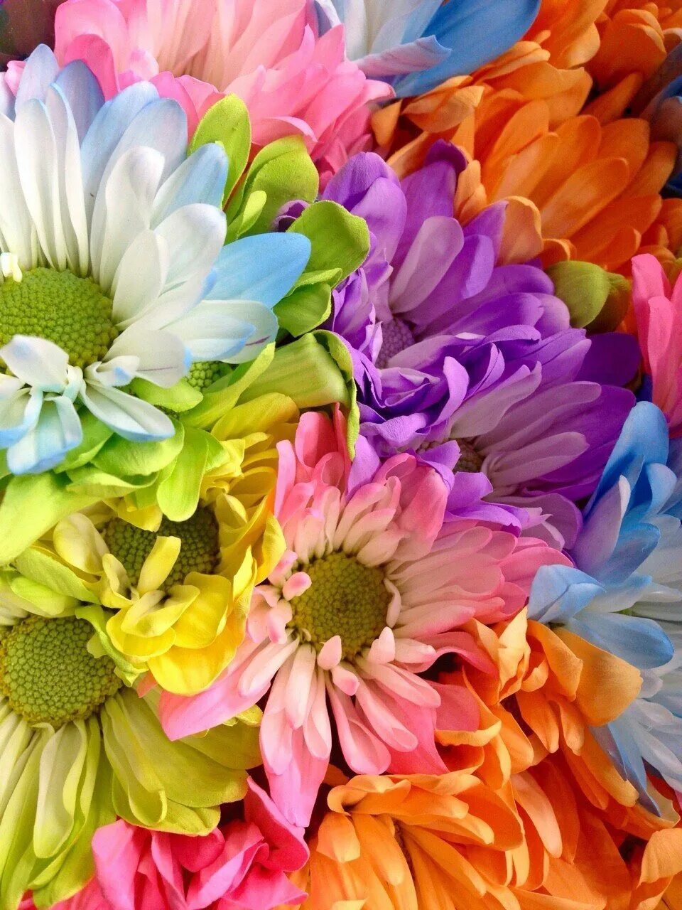 Что делаем яркими цветами