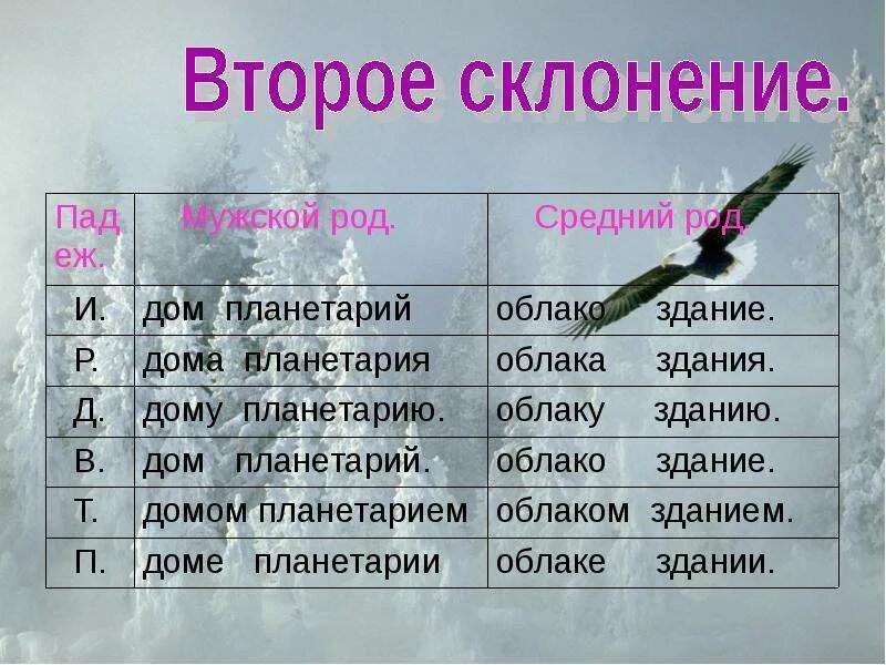 Род слова туч. Второе склонение. Слова второго склонения. Здание склонение. 2 Склонение.