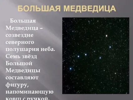 Большая медведица коротко