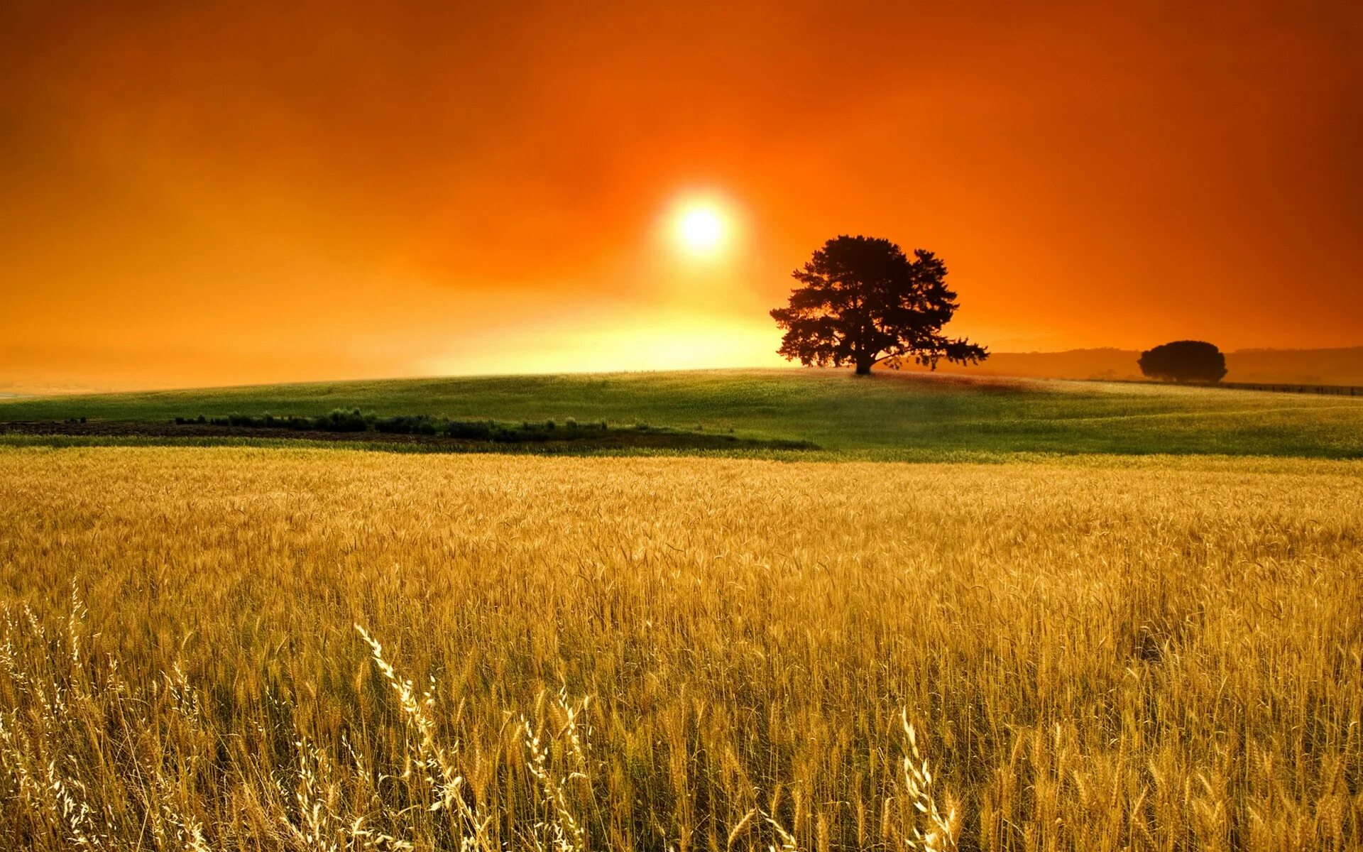 Летнее небо. Солнечное небо. Sun sunny day. Солнечное небо. Солнечный день.