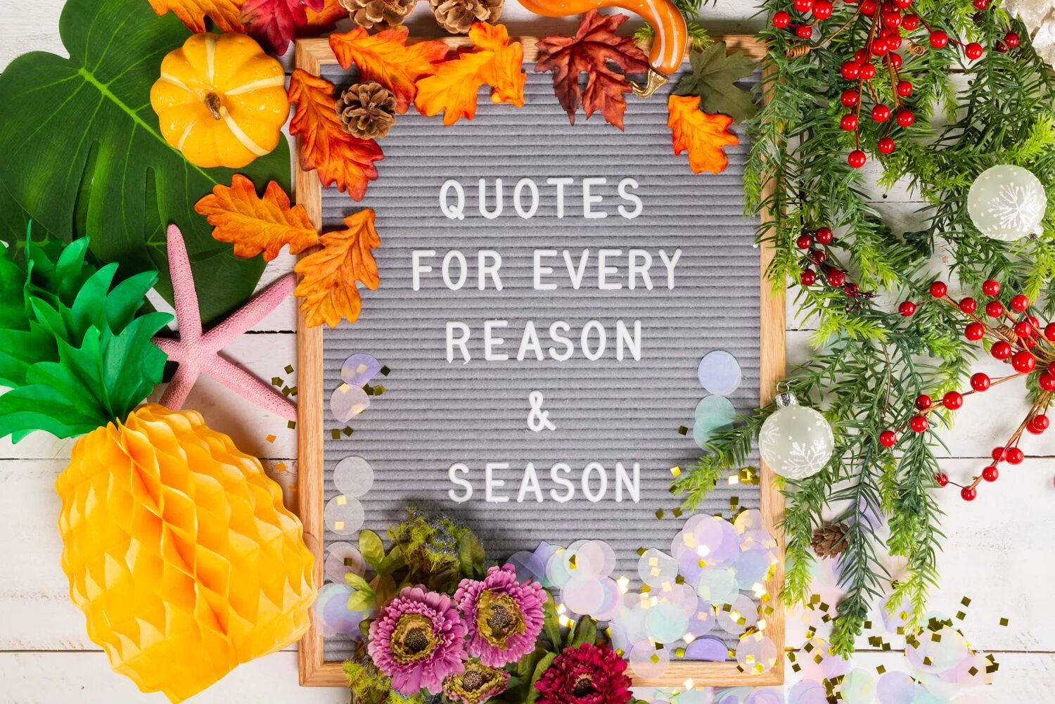 Seasons reasons