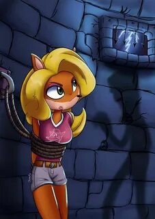 Crash tawna