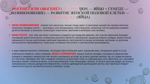 Полярное тельце результат фазы размножения овоцит