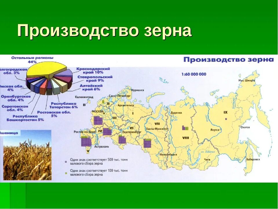 Крупнейшие апк россии. Основные районы производства зерновых культур в России. Субъекты РФ Лидеры по производству зерна на карте. Районы выращивания зерновых культур в России на карте. На производстве сельскохозяйственные культуры.