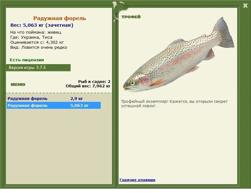 вуокса радужная форель. форель живая. реальная рыбалка вьюн лесная река. радужная форель лесная река. ишхан реальная рыбалка.