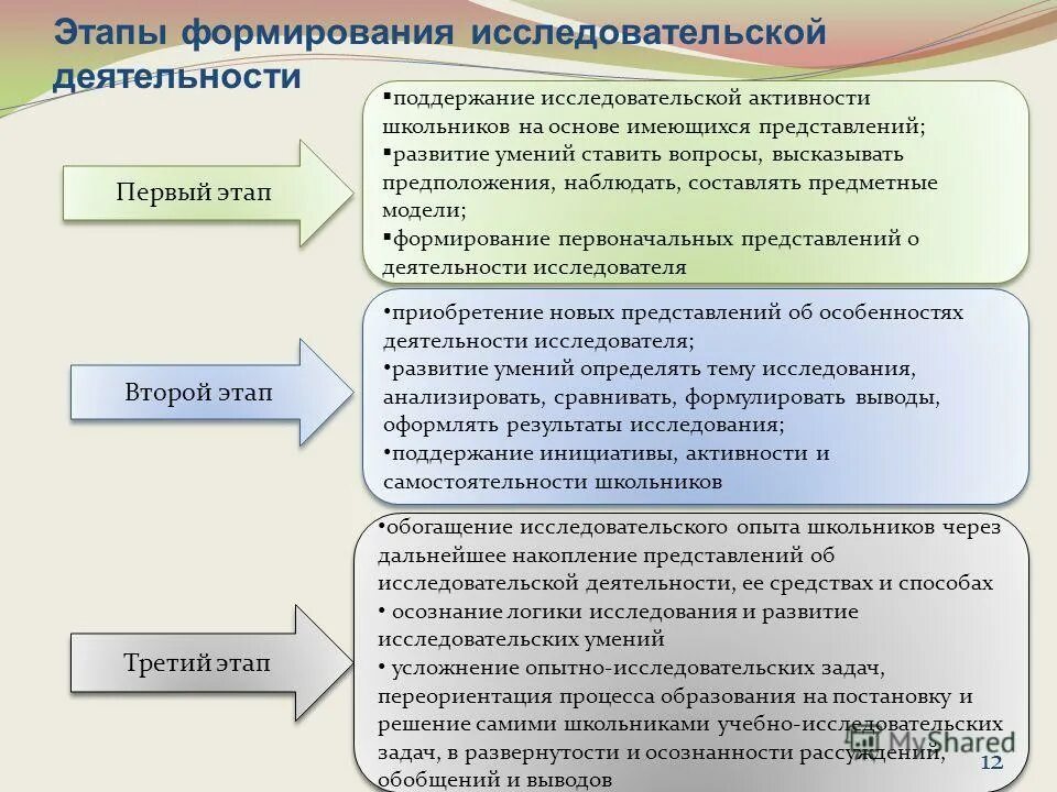Этапы развития лица. Этапы развития лица