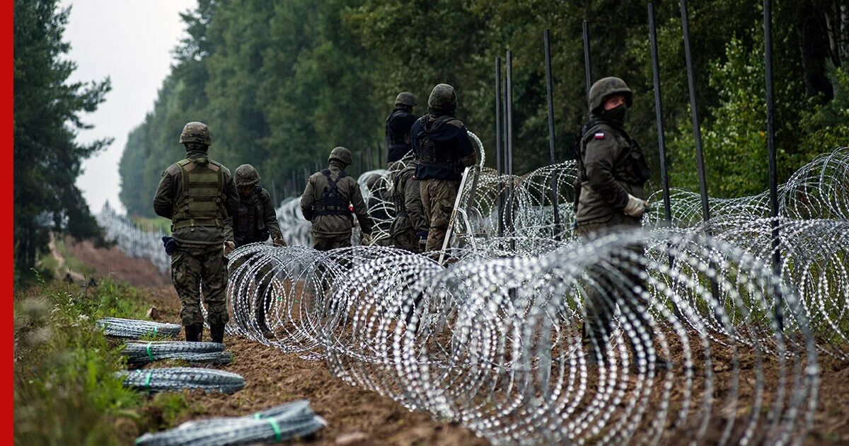 Сколько стоят на границе польша. Забор на польской границе. забор на границе. забор на границе польши и белоруссии.