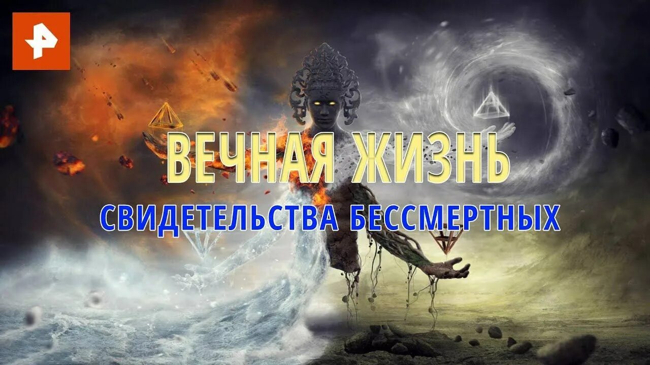 Документальный спецпроект все выпуски. РЕН ТВ документальный Спецпроект. Документальный Спецпроект. Свидетельство о жизни.