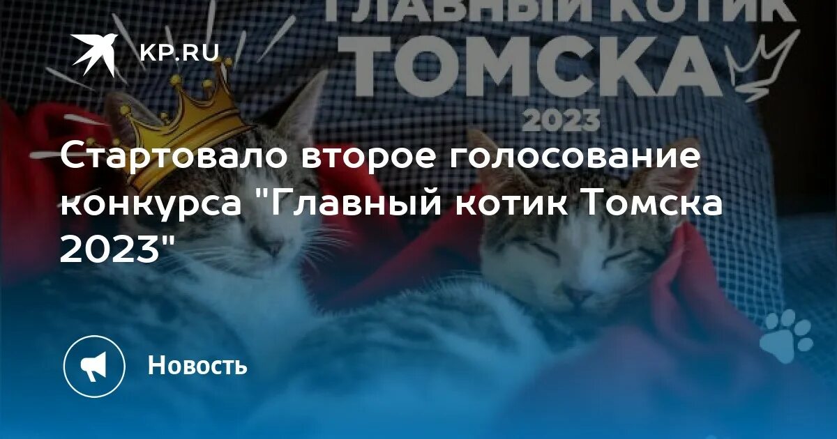 Цирк томск 2023. Цирк томск 2023