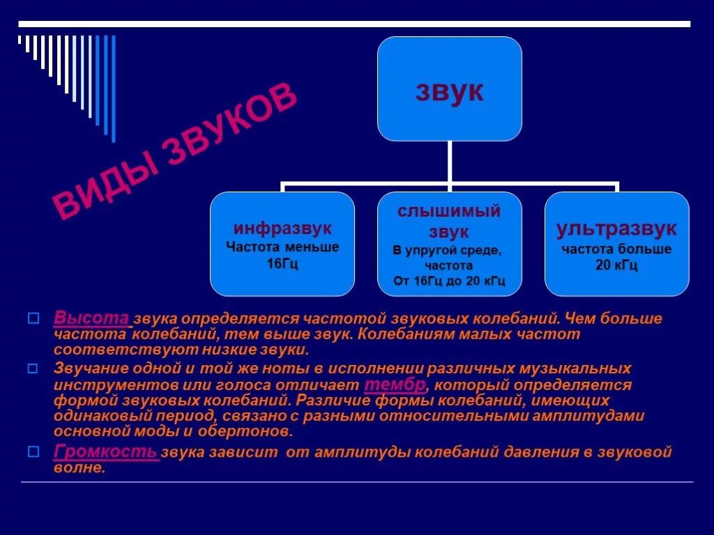 Слышишь звуки в низкой. Какого типа бывает звук. Виды звука. Виды звуковых колебаний. Звук виды звуков.