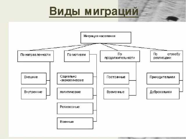 Схема видов таблиц. Типы миграции населения. Виды миграции населения схема. Типы миграции населения таблица. Схема миграции населения по географии.