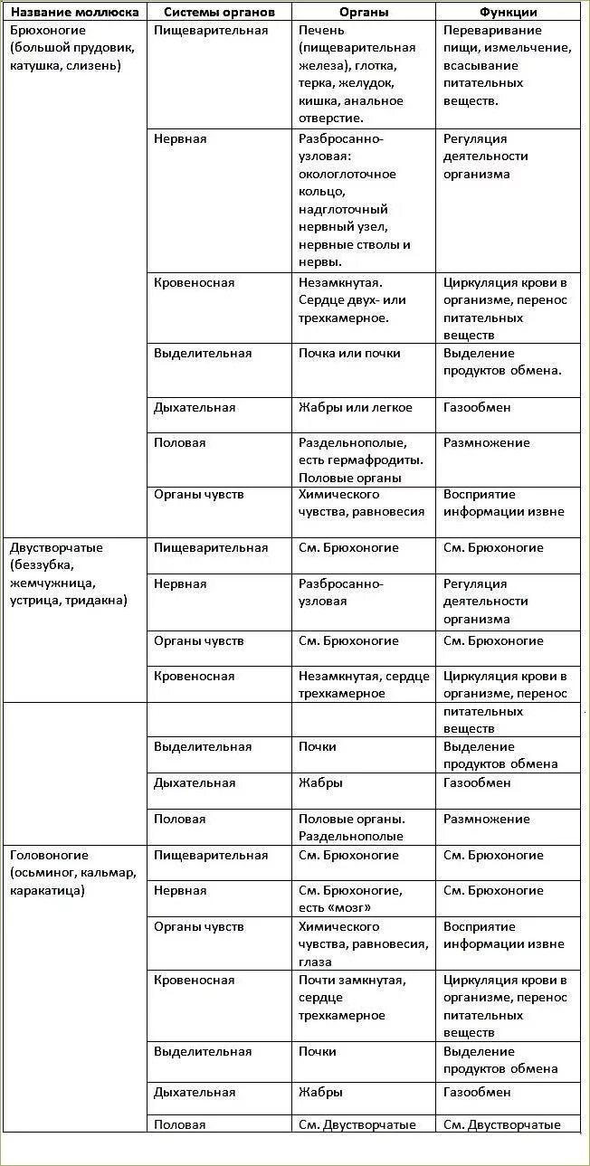 Таблица система органов брюхоногие двустворчатые головоногие. Таблица сравнения брюхоногие двустворчатые и головоногие моллюски. Системы органов двустворчатых моллюсков таблица. Таблица сравнение брюхоногих двустворчатых и головоногих. Брюхоногие признаки таблица